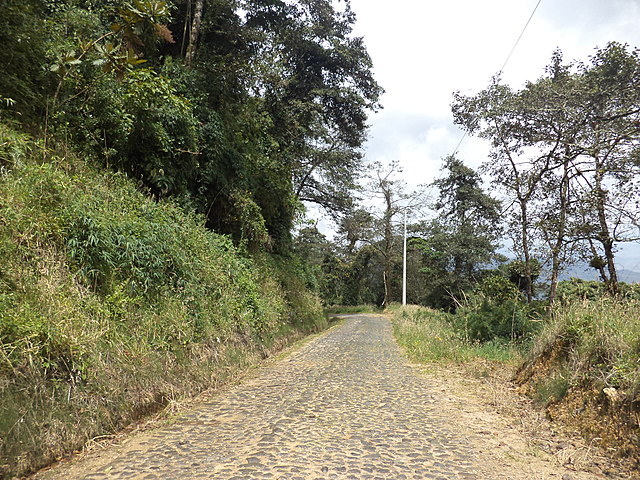 Henry Maine: Sociedad antigua y moderna mediada por contrato