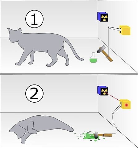 Schrödinger - Gana Premio Nobel (Teoría atómica por el gato)