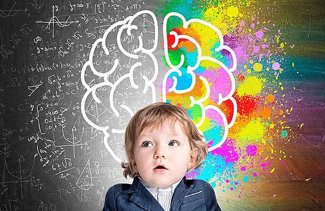 CONEXIONES NEURONALES EN LOS 2 PRIMEROS AÑOS