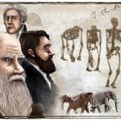 Timeline: Posturas de la evolución