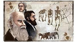 Timeline: Posturas de la evolución