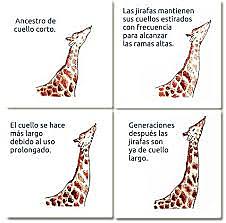 ejemplo de la teoría de Lamarck