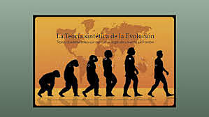 Aspectos de la teoría sintética