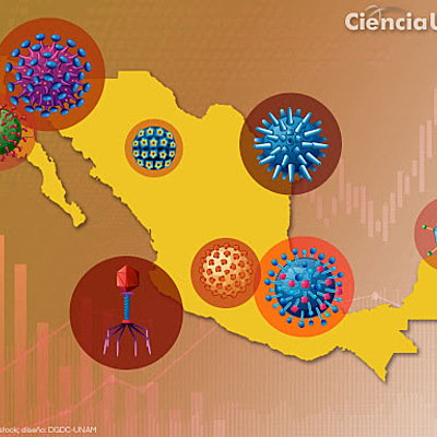 Timeline: Epidemiologia