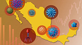 Timeline: Epidemiologia