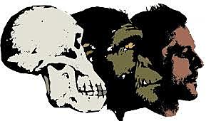 la teoría sintética