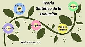 teoría sintética