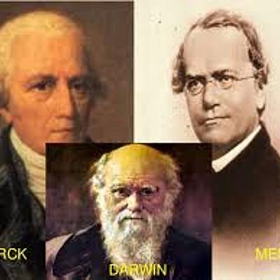 Timeline: Evolución de las especies