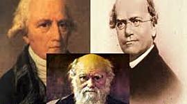 Timeline: Evolución de las especies