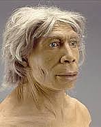 aparición del Homo neanderthalensis