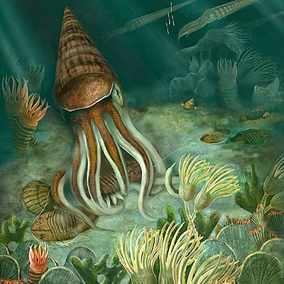 Timeline: ERA ORDOVICICO