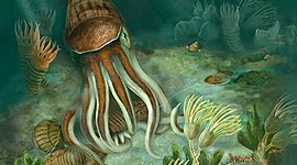 Timeline: ERA ORDOVICICO