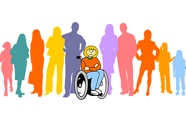 Ley de Integración Social de los Minusválidos (LISMI)