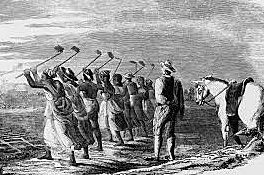 The start of slavery