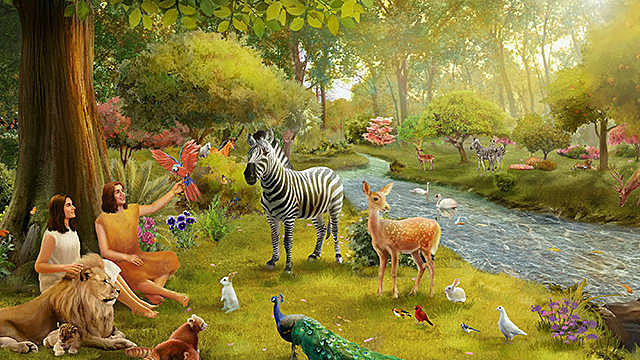 DÍA 6 DE LA CREACIÓN