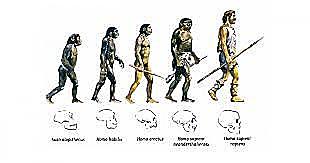 Pensamiento evolucionista