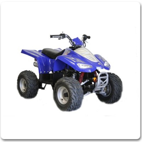 New 4-Wheeler