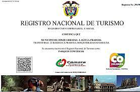 DECRETO 2074 DE 2003