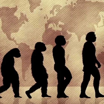 Timeline: Posturas De La Evolución