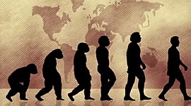 Timeline: Posturas De La Evolución