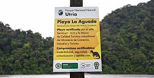 RESOLUCIÓN 0890 DE 2005