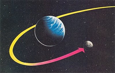 Teoría de la captura