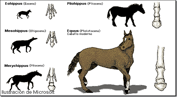 Herencia De Los Caracteres Adquiridos