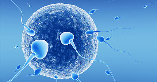 Elevada Capacidad Reproductiva