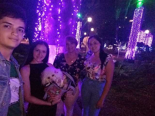 Special Christmas night