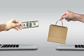 2008 Pago Alternativo y Seguro