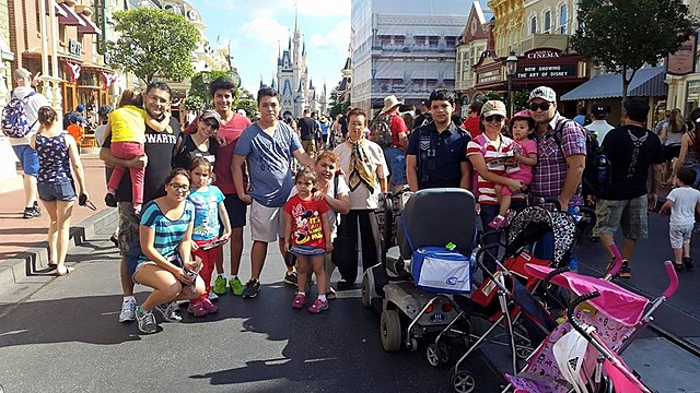 vieje familiar a Disney