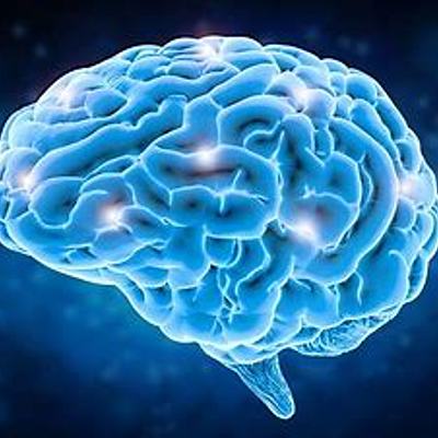 Timeline: Daniel Dennett- David Crane, APU