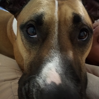 Timeline: edad de hierro