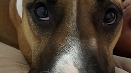 Timeline: edad de hierro