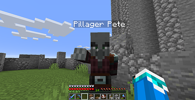 tge719 tames a pillager (day 2777)