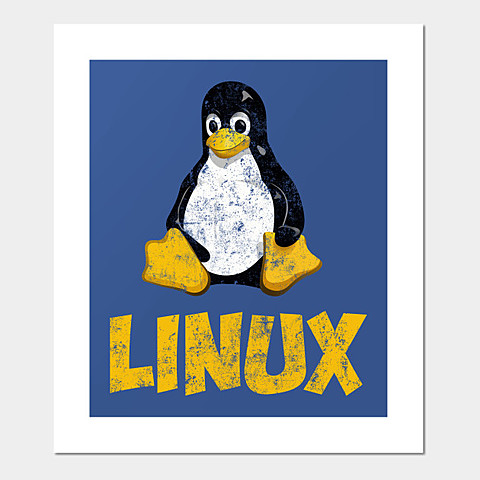 Linux OS first released.