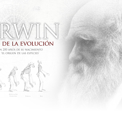 Timeline: DARWIN