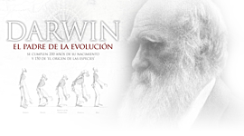 Timeline: DARWIN