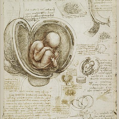 Timeline: Infografia - alguns marcos históricos