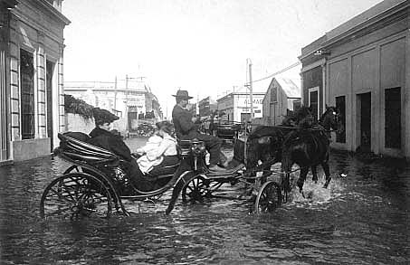 Los embates de la naturaleza.