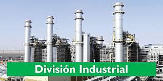 División de Psicología Industrial y Organizacional