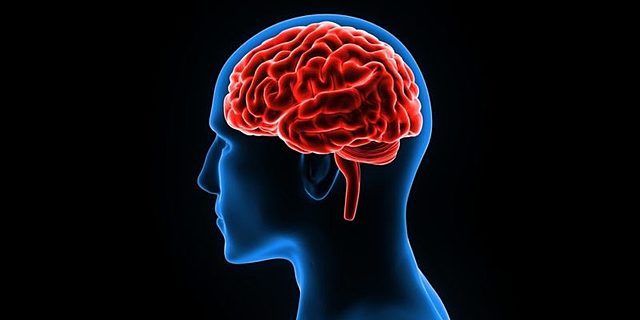 implantes cerebrales para recuperar el sentido del tacto