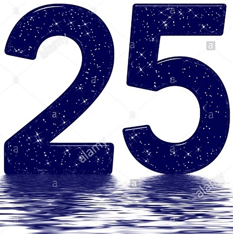 EU was enlarged to twenty-five members