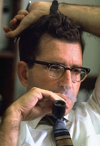 Ph.D. in Linguistics