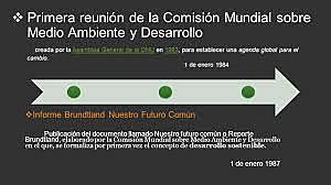Comisión Mundial sobre el Medio Ambiente y el Desarrollo (1987)