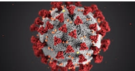 Nuevo Corona Virus en China