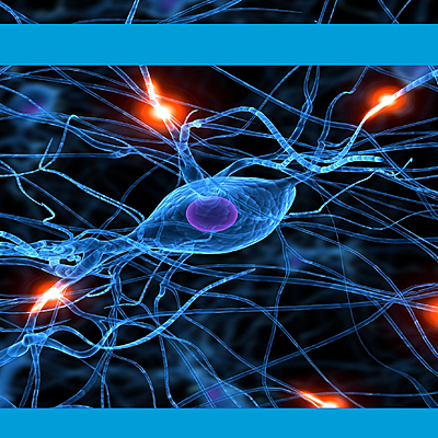 Timeline: Impulso Nervioso