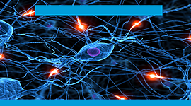 Timeline: Impulso Nervioso