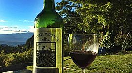 Timeline: El comercio Electrónico