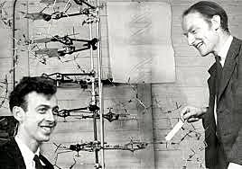 Watson y Crick